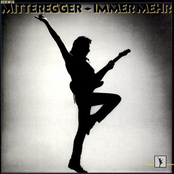 Immer Mehr by Herwig Mitteregger