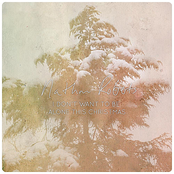 I Don't Want to Be Alone This Christmas