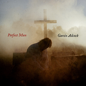 Perfect Man