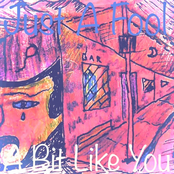 Just A Fool & A Bit Like You
