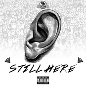 Still Here