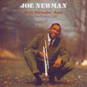 Mean To Me by Joe Newman