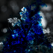 Whiteout (LOST OCEVN Remix)