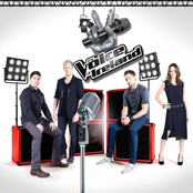 The Voice of Ireland
