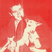 Songs For Swinging Shepherds