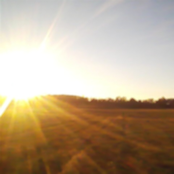 Airplanes Fell From the Sky While We Slept on the Roofs of Moving Trains