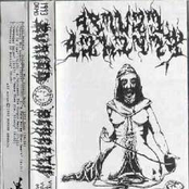 Vivisect the Virgin Mary