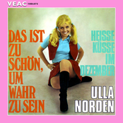 Das ist zu schön, um wahr zu sein