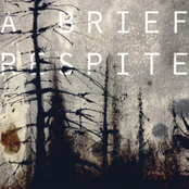 A Brief Respite