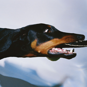 Overmono: Diamond Cut / Bby