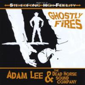 Ghostly Fires by Adam Lee & The Dead Horse Sound Company