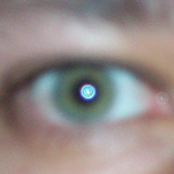 Textures Beneath the Green