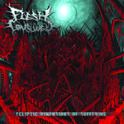 Interspecific Coalesce by Flesh Consumed