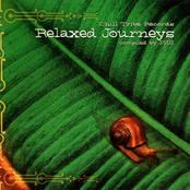 Relaxed Journeys