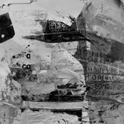 Truly the Van Halen of Horses