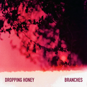 Branches