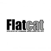 New Song Dedicated To You by Flatcat