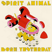 Spirit Animal: Born Yesterday