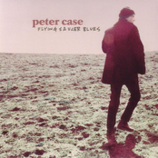 Something Happens by Peter Case