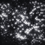 Good Enough (feat. Caskets)