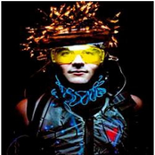 Your New Favorite Cd