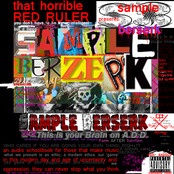 SAMPLE BERSERK aka This is your brain on A.D.D.