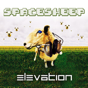 Spacesheep