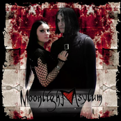 moonlight asylum