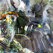 Benadryllic Funk Pt. A