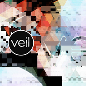 Veil