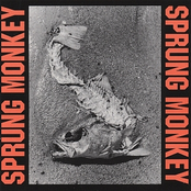 Sprung Monkey: Situation Life