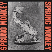 Stay Down by Sprung Monkey