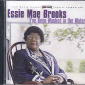 I've Been Washed in the Water