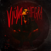 Viúva Negra