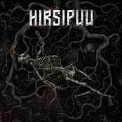 Hirsipuu