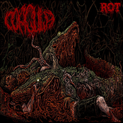 ROT