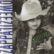 Anytime At All by Dweezil Zappa