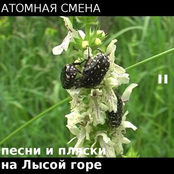 Dances and Songs at Bold Mountain