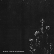 Where Grace Won't Grow