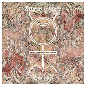 Ethereal Flesh Conduit