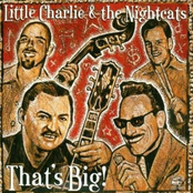 Desperate Man by Little Charlie & The Nightcats
