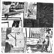 Sour Flashback Fleas