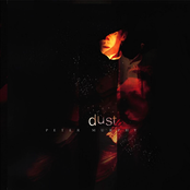 Peter Murphy: Dust