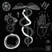 The Violence of Your Eternal Love