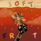 soft fruit