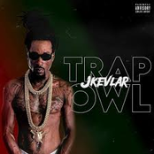 Trap Owl