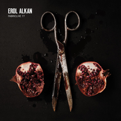 Sub Conscious by Erol Alkan