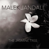 The Jasmine Tree