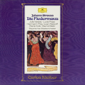 Strauss: Die Fledermaus