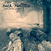 Птицы Листают Страницы